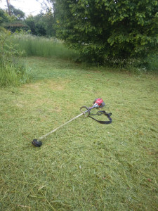 Photo de galerie - Tonte de pelouse - Débroussaillage