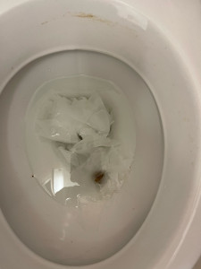 Photo de galerie - Débouchage des toilette