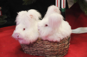 Photo de galerie - Monaco et Bagdad