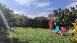 Photo de galerie - Taillage 
tonte 
élagage 