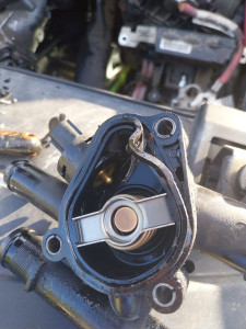 Photo de galerie - Calosta  Renault.scenic 