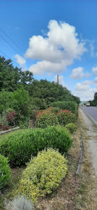 Photo de galerie - Massif 
