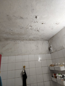 Photo de galerie - Avant