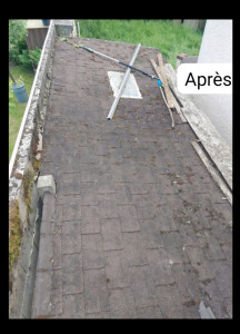 Photo de galerie - Taille de haies et d'arbustes