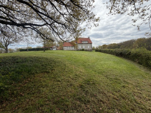 Photo de galerie - Contrat annuel tonte