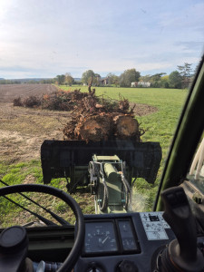 Photo de galerie - D'esouchage d'arbre 