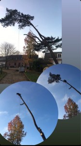 Photo de galerie - Démontage 