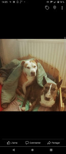 Photo de galerie - 16 ans de ma vie, mes amours....