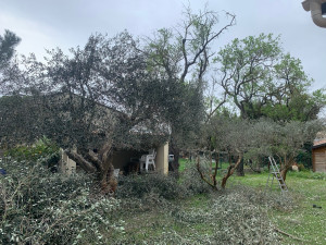 Photo de galerie - Entretien 