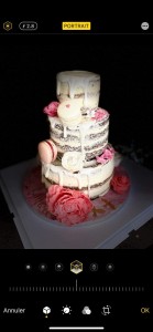 Photo réalisation - Gateau d'anniversaire - cake art - Sabrina M. - Bruyères-sur-Oise : Wedding cake 