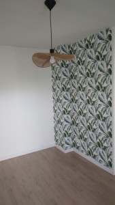 Photo de galerie -  
 papier peint