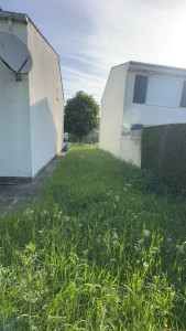 Photo de galerie - Tonte de pelouse - Débroussaillage