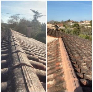 Photo de galerie - Couverture - Toiture