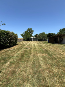 Photo de galerie - Tonte soignée 