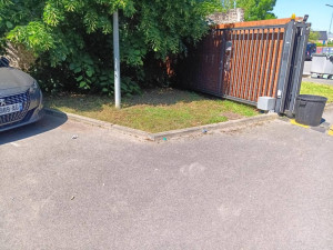 Photo de galerie - Tonte de pelouse - Débroussaillage