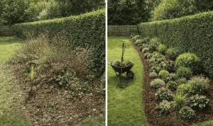 Photo de galerie - Paysagiste - Aménagement du jardin