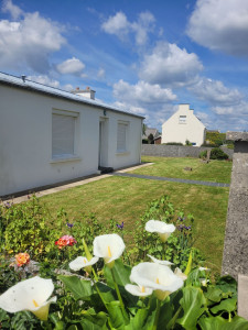 Photo de galerie - Entretien annuel de gazon