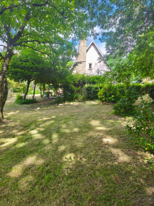 Photo de galerie - Tonte de pelouse - Débroussaillage