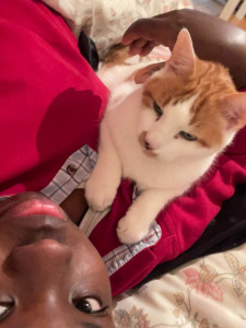 Photo de galerie - Garde chat