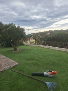 Photo de galerie - Entretien gazon synthétique ( aiguilles de pin) 