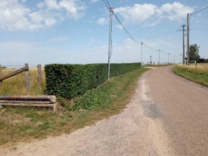 Photo de galerie - Taille évacuation 