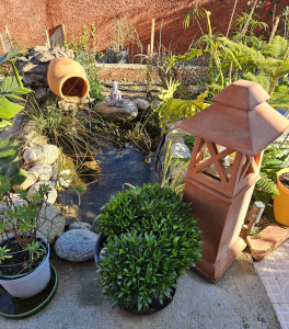 Photo de galerie - Paysagiste - Aménagement du jardin
