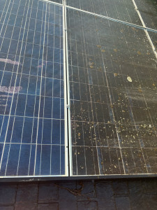 Photo de galerie - Nettoyage de panneaux photovoltaïques 