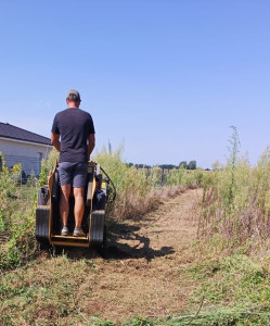 Photo de galerie - Tonte de pelouse - Débroussaillage