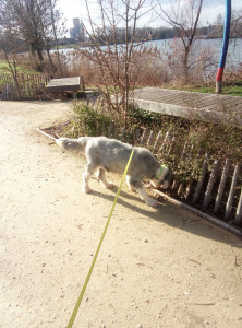 Photo de galerie - Profitons du soleil 02/26