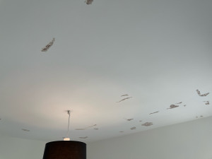 Photo de galerie - Plâtrerie - Murs - Plafonds