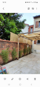 Photo de galerie - Plantation de bambous et arrosage goutte à goutte 