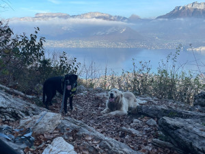 Photo de galerie - Randonnée en groupe dans les hauts de Sevrier  