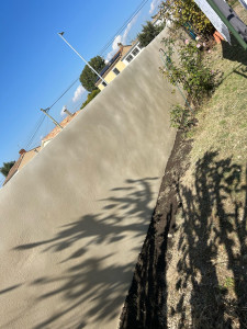 Photo de galerie - Crépis 