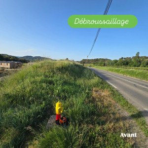 Photo de galerie - Débroussaillage d'un talus 