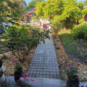 Photo de galerie - Paysagiste - Aménagement du jardin