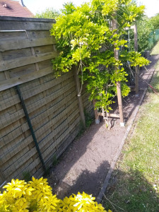 Photo de galerie - Désherbage 