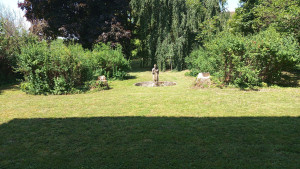 Photo de galerie - Tonte et débroussaillage 