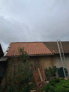 Photo de galerie - Changement de tuiles 