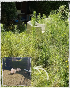 Photo de galerie - Entretien d'un jardin en espace vert.
• Tonte de pelouse 
• Désherbage 