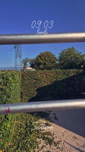 Photo de galerie - Taille de haie