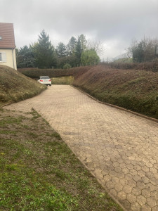 Photo de galerie - Taille de haies et d'arbustes