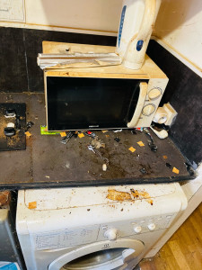 Photo de galerie - Ménage