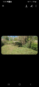 Photo de galerie - Tonte de pelouse - Débroussaillage