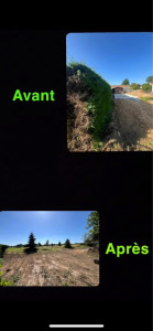 Photo de galerie - Enlèvement d’ une haie