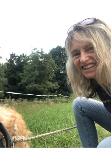 Photo de galerie - Cool 