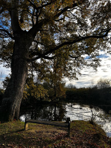 Photo de galerie - Garde animaux