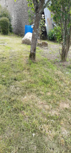 Photo de galerie - Tente et débroussaillage très propre