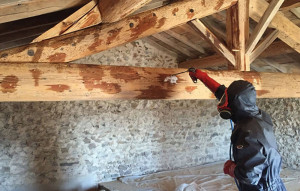 Photo de galerie - Charpente