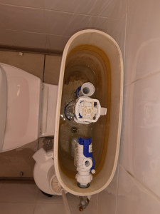 Photo de galerie - Remplacement de chasse d’eau complet 