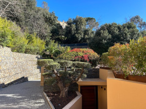 Photo de galerie - Taille d’Olivier 